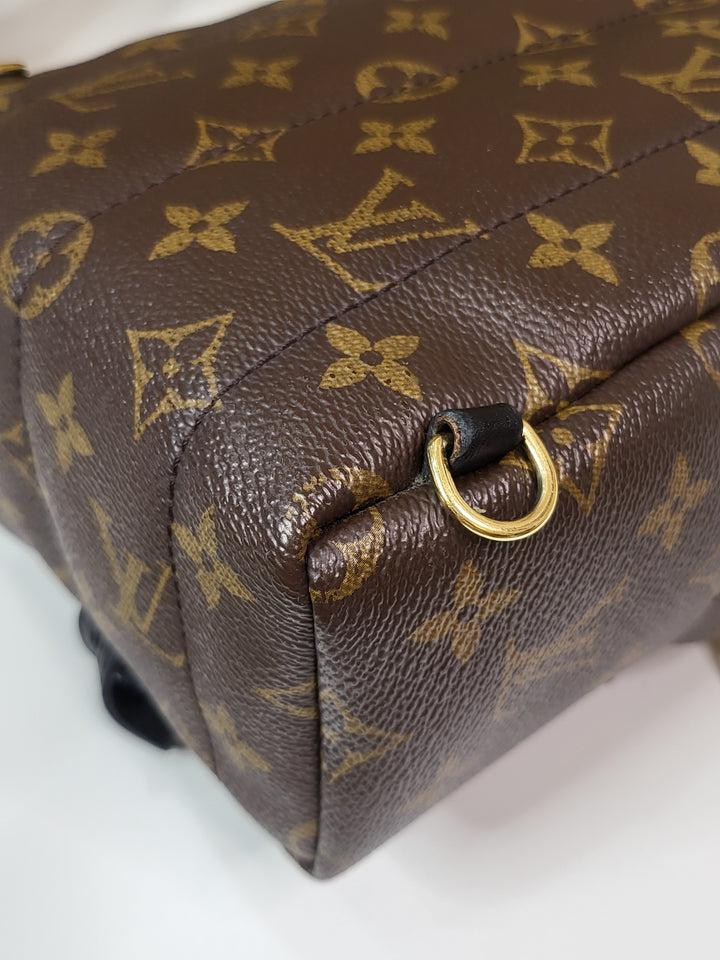 Louis Vuitton Monogram Palmspring PM