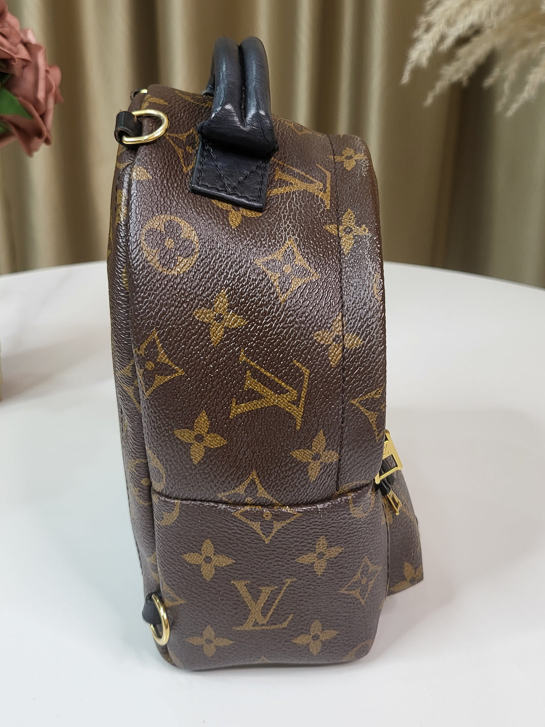 Louis Vuitton Monogram Palmspring PM