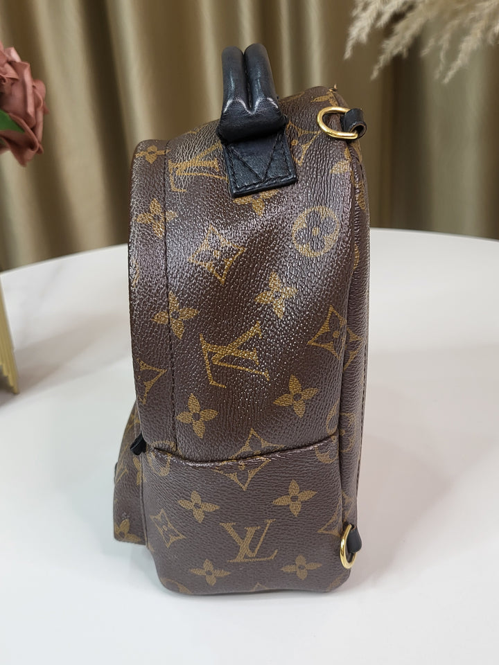 Louis Vuitton Monogram Palmspring PM
