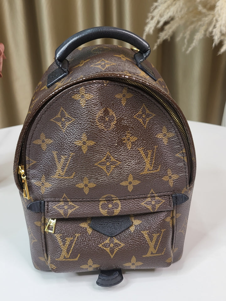 Louis Vuitton Monogram Palmspring PM