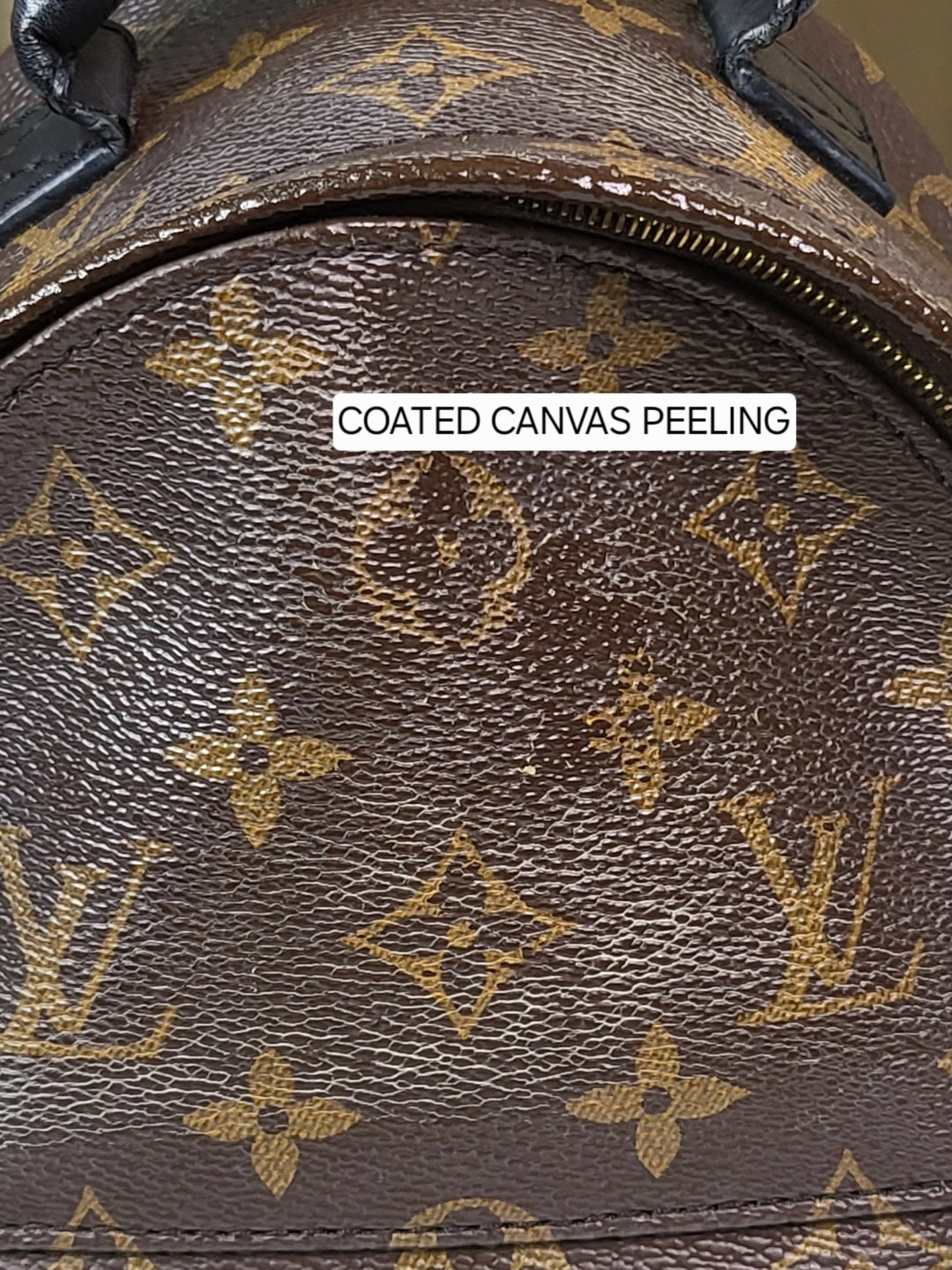 Louis Vuitton Monogram Palmspring PM