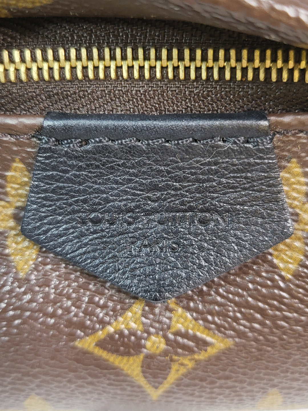 Louis Vuitton Monogram Palmspring PM