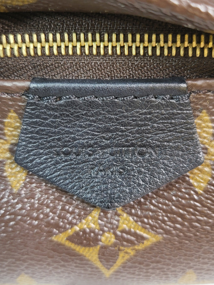 Louis Vuitton Monogram Palmspring PM