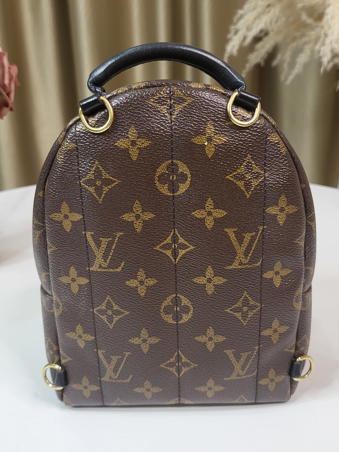 Louis Vuitton Monogram Palmspring PM