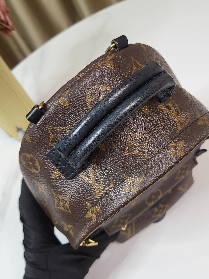 Louis Vuitton Monogram Palmspring PM