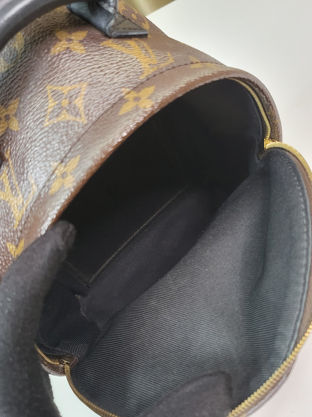 Louis Vuitton Monogram Palmspring PM