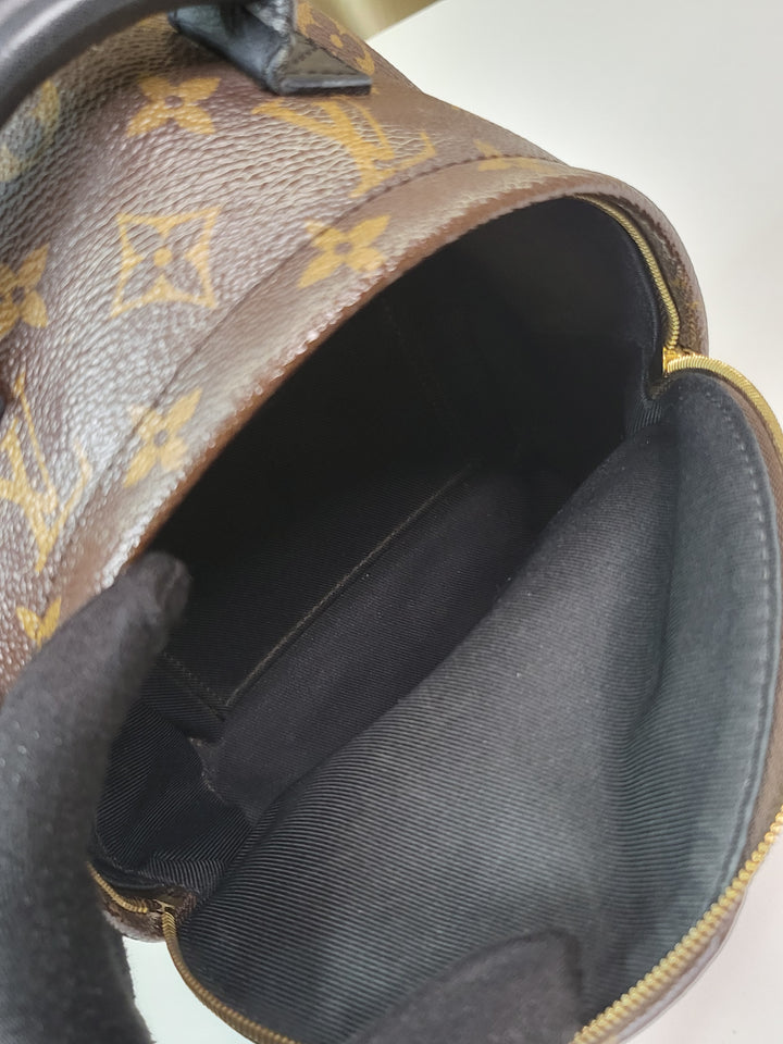 Louis Vuitton Monogram Palmspring PM