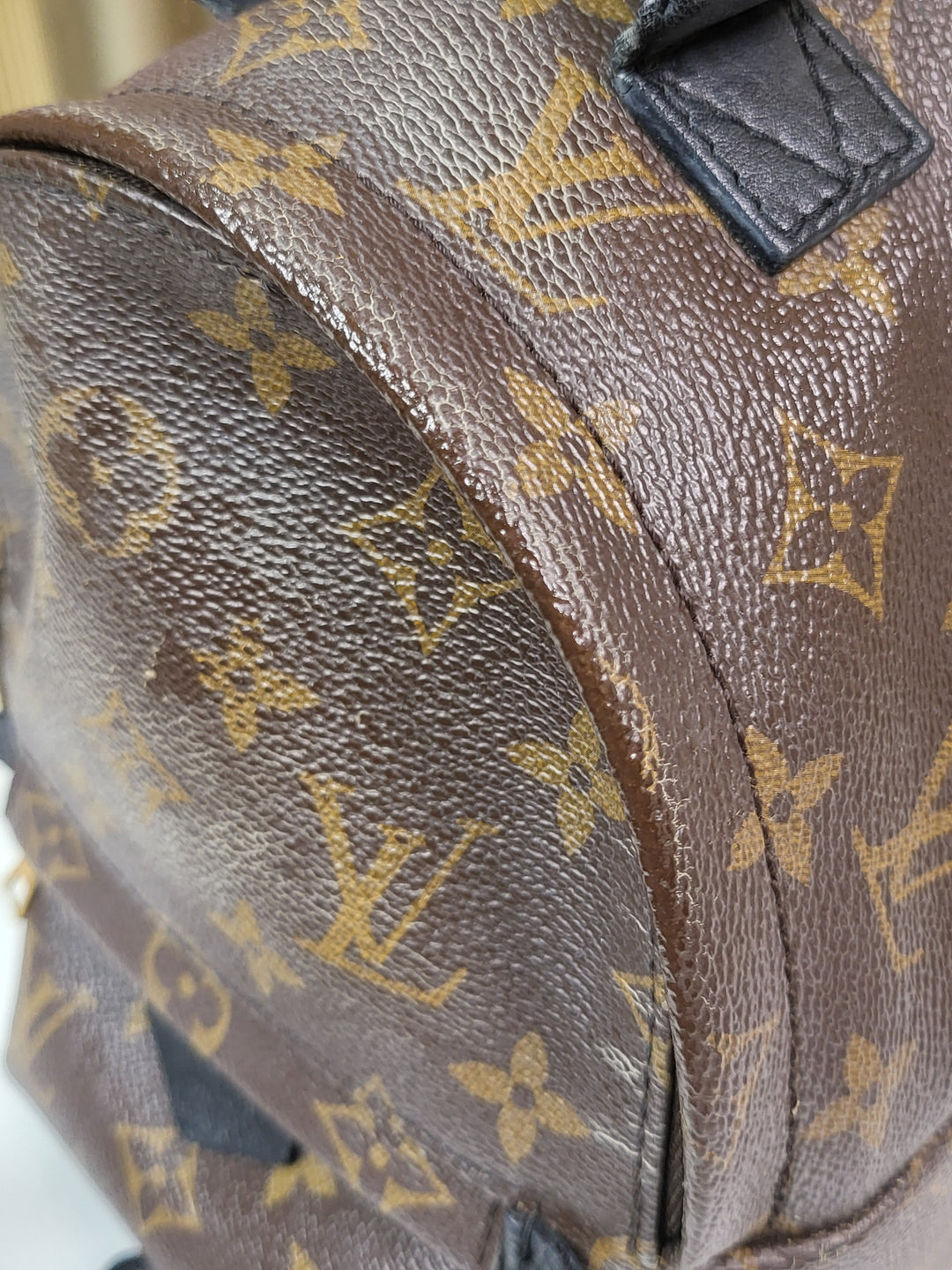 Louis Vuitton Monogram Palmspring PM