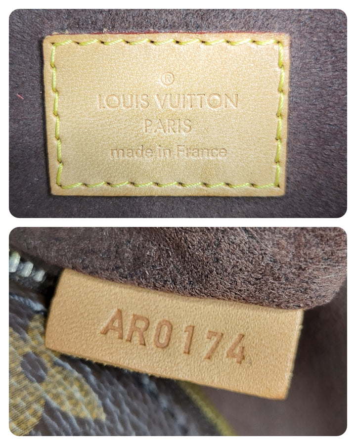 Louis Vuitton Monogram Metis Hobo