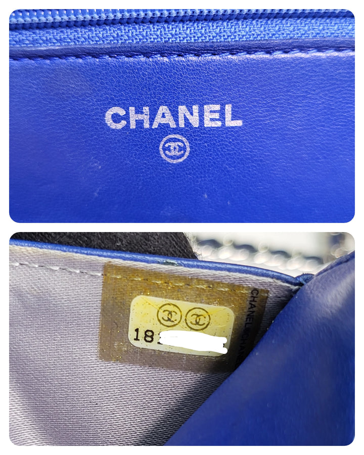 Chanel Camelia Wallet On Chain