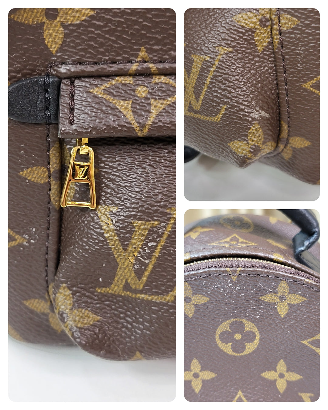 Louis Vuitton Monogram Palmspring Mini