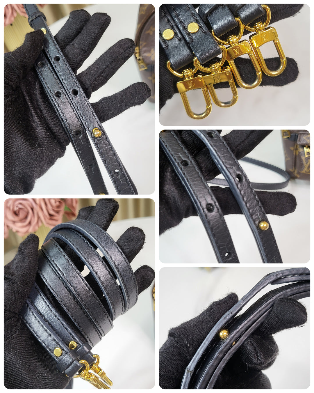 Louis Vuitton Monogram Palmspring PM