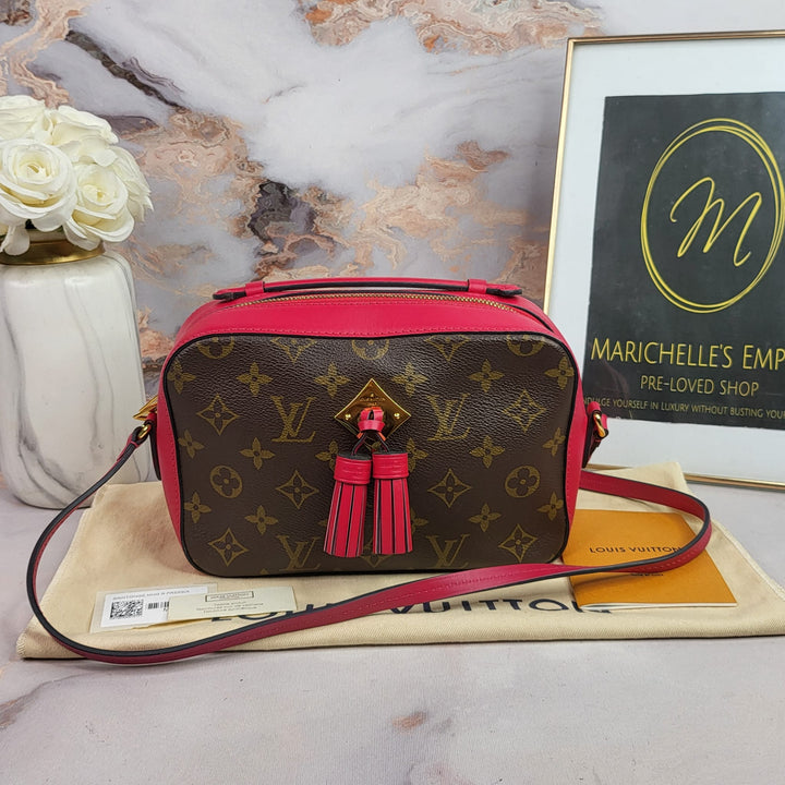 Louis Vuitton Monogram Saintonge Freesia