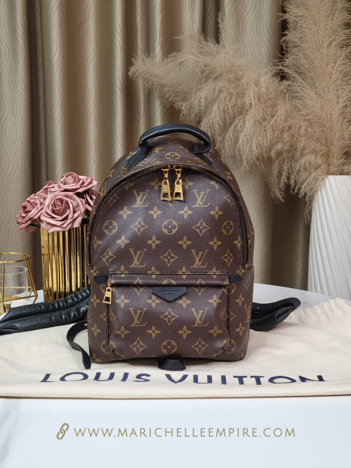 Louis Vuitton Monogram Palmspring PM