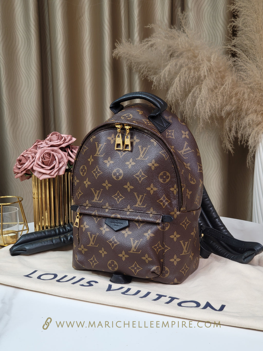 Louis Vuitton Monogram Palmspring PM