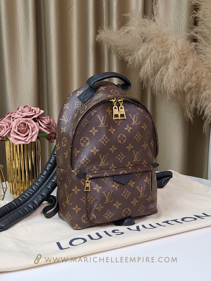 Louis Vuitton Monogram Palmspring PM