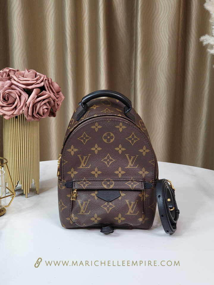 Louis Vuitton Monogram Palmspring Mini