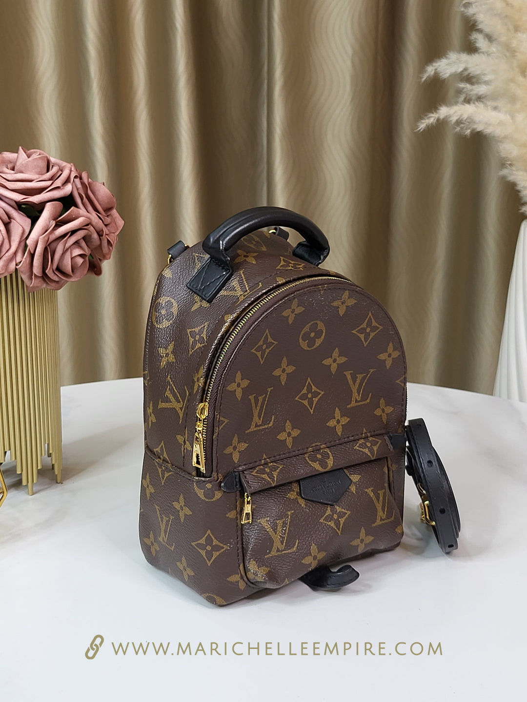 Louis Vuitton Monogram Palmspring Mini