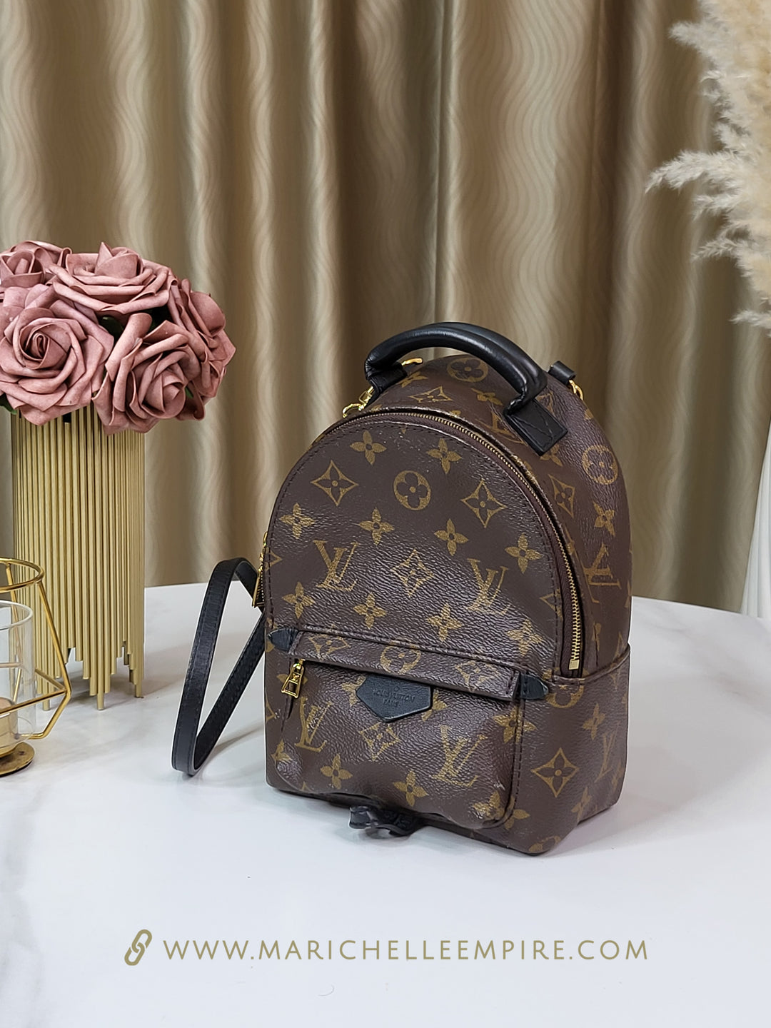 Louis Vuitton Monogram Palmspring Mini