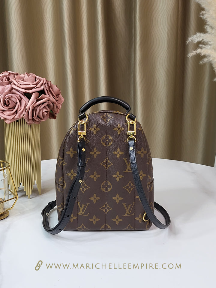 Louis Vuitton Monogram Palmspring Mini