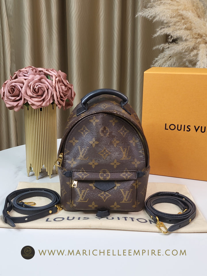 Louis Vuitton Monogram Palmspring PM