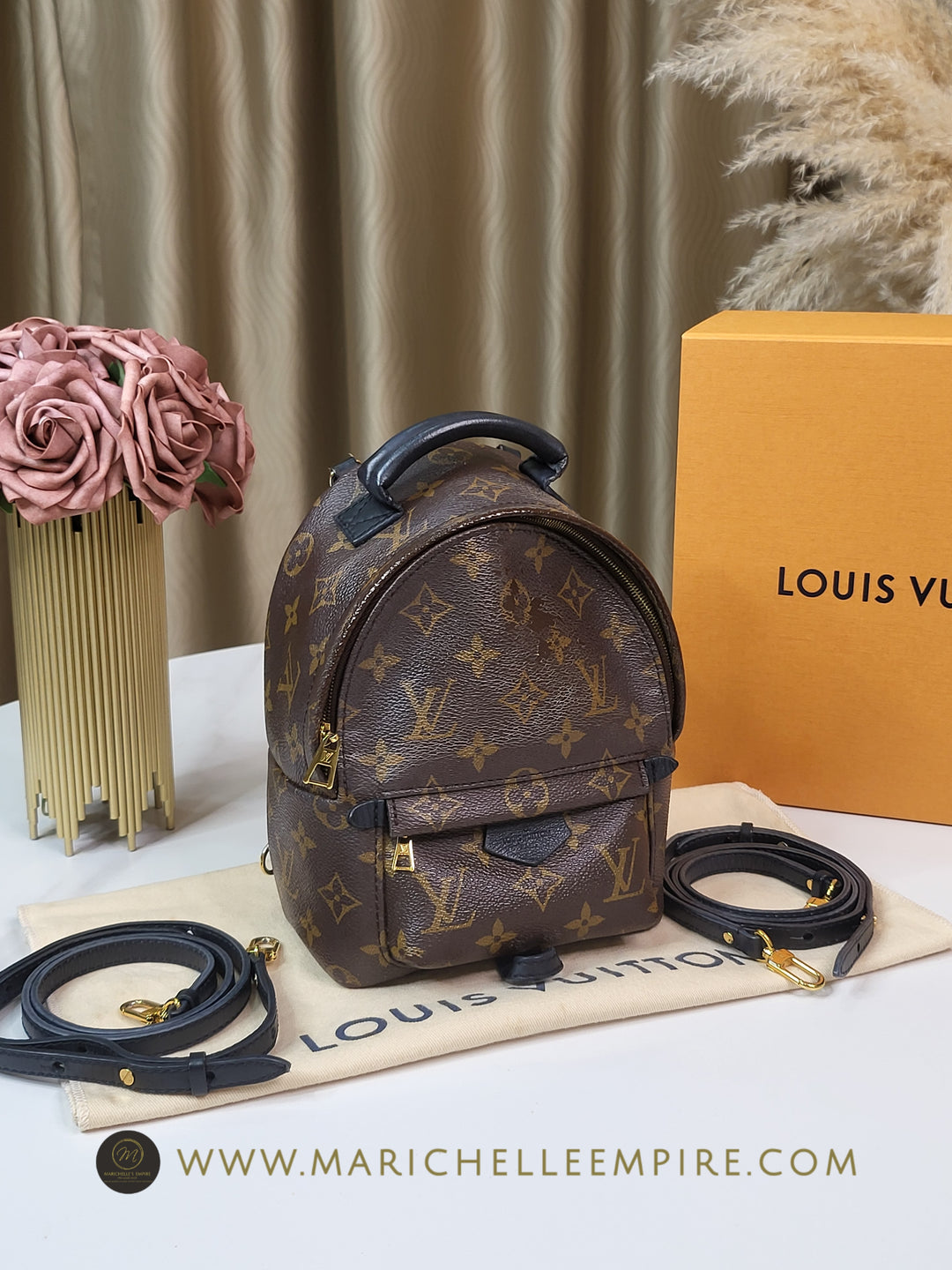 Louis Vuitton Monogram Palmspring PM