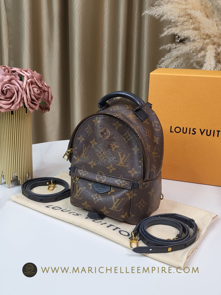 Louis Vuitton Monogram Palmspring PM