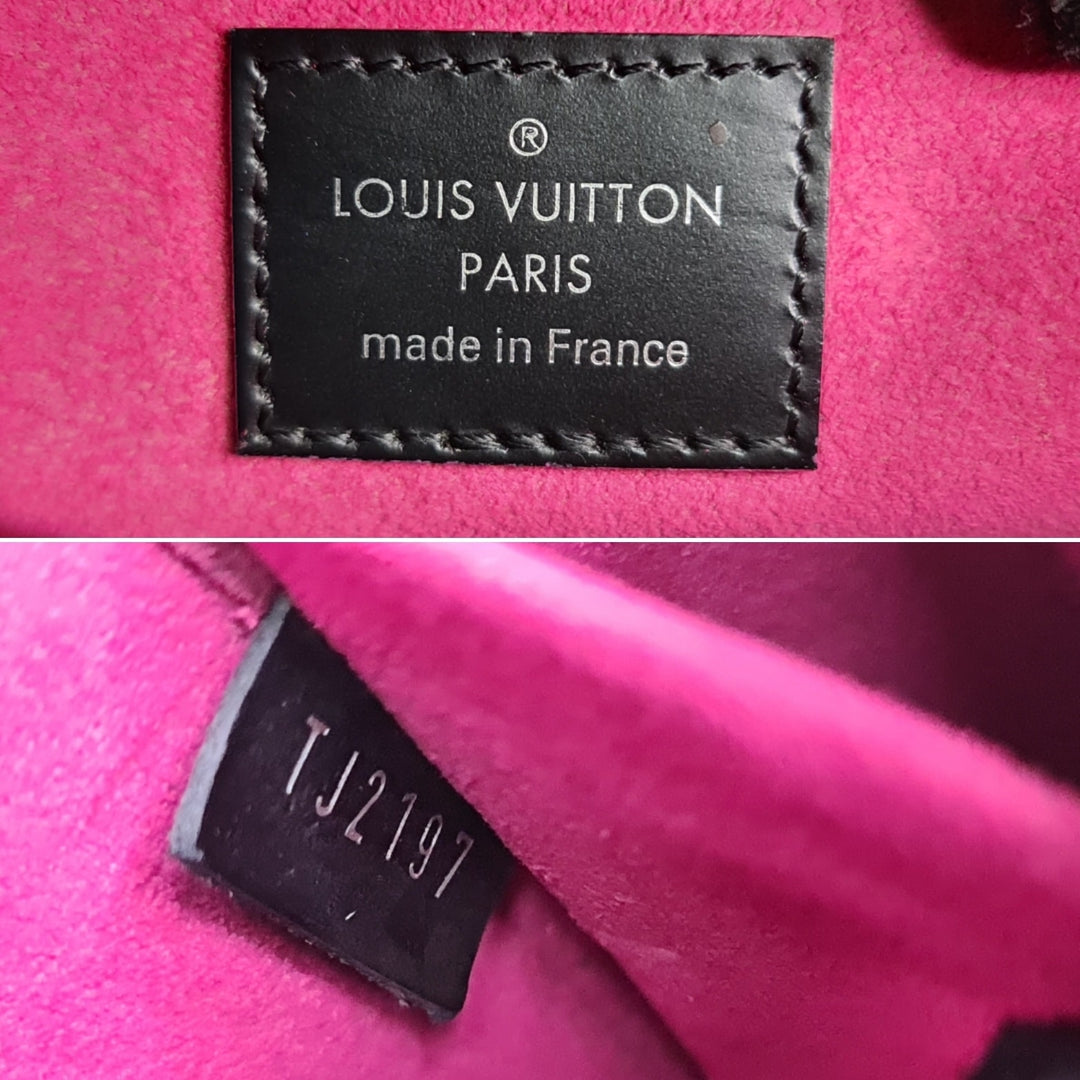 LOUISVUITTON Epi Felicie - Marichelle's Empire 