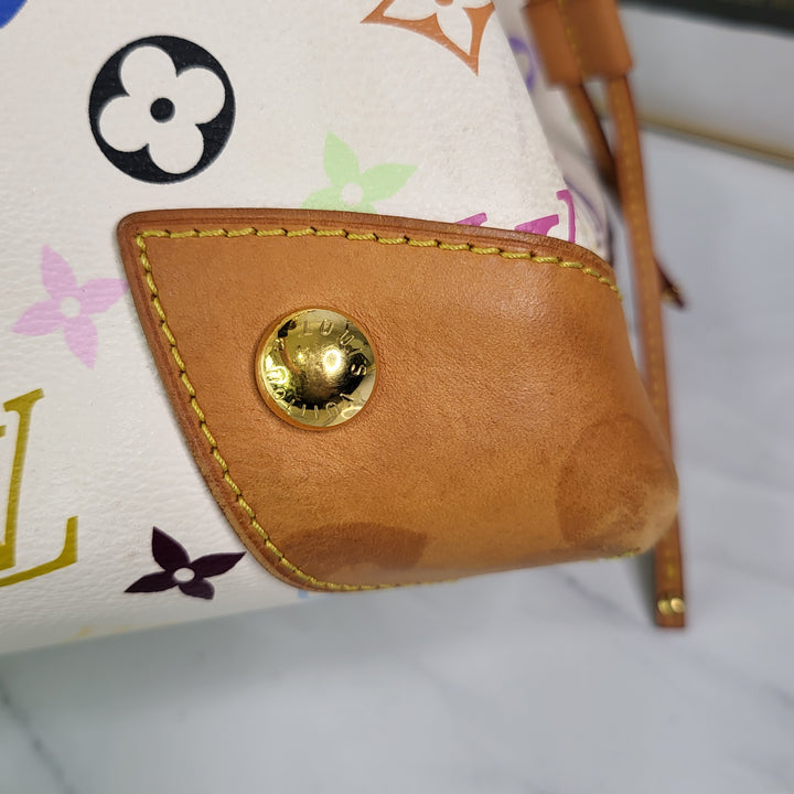 Louis Vuitton Multicolor Ursula Handbag