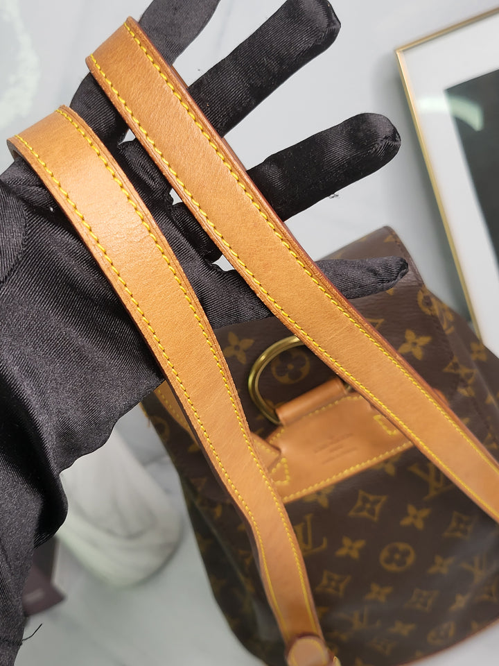 Louis Vuitton Monogram Montsouris MM